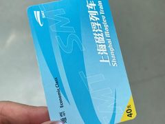 -龙阳路磁悬浮列车总站-停车场