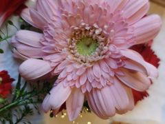 -翠贝卡&Mama Kelly Brunch Coffee(河西店)