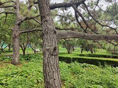 -老虎石海上公园