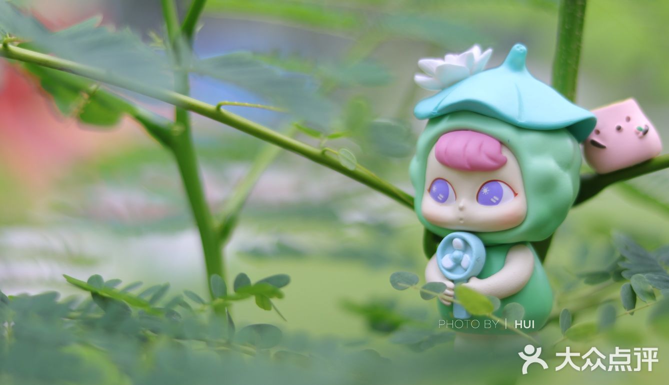 小暑，温风至