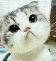 -APM Monaco(金鹰世界店)