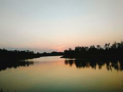 -东郊湿地公园