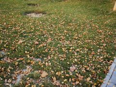 -瀛海足球主题公园