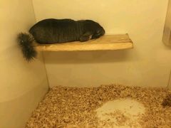 android_upload_pic-龙猫仔乐园(惠福东路店)