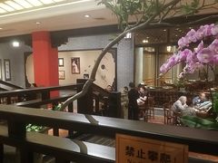 -龙悦湾酒家·八阵鱼生·渔人码头店