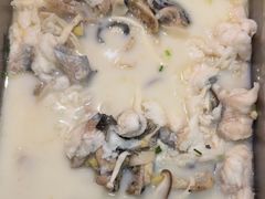 -洞庭家宴·头牌甲鱼(广渠门店)