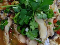 -全乐鱼馆·淳牌有机鱼直营店