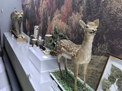 -青藏高原野生动物园