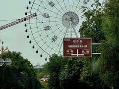 -特克斯八卦城
