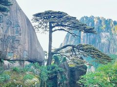 -黄山风景区