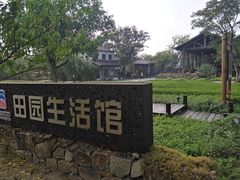 -田园东方蜜桃村的田野营地