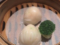 -南海渔村(珠江新城店)