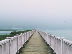 -大澳