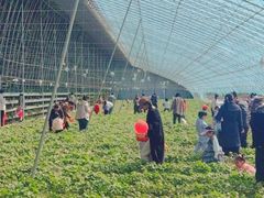 -瑞思少儿中心·少儿英语素养启蒙(勒泰直营校区)