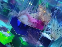 -太平洋海底世界