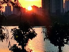 -飞来湖湿地公园