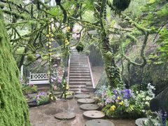 -沂蒙云瀑洞天景区