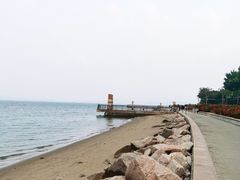 -深圳湾公园(南山区)