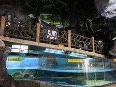 -苏州海洋馆