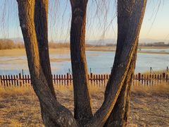 -野鸭湖国家湿地公园