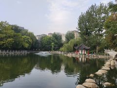 -莲湖公园
