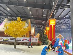 -宁波冰雪大世界(北仑区)