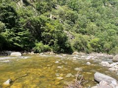 -秦岭风景区