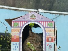-青藏高原野生动物园