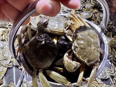 -聚盛源蒸汽海鲜火锅烤肉自助(巨川金海岸购物广场店)
