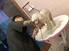 -FAELING PETS美天灵宠物(富力广场店)