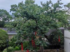 -黄公望隐居地