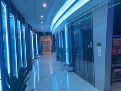 -绿树电竞(五路店)