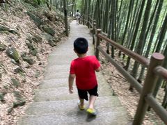 -藏龙百瀑风景区