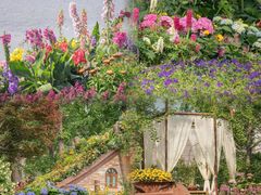 -武汉园博园(武汉自然博物馆)