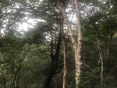 -白草畔自然风景区