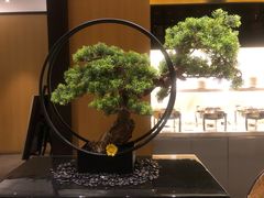 -金陵饭店 56F 家·海鲜火锅餐厅