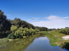 -东郊湿地公园