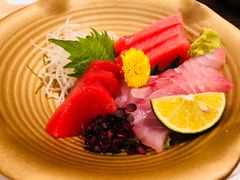 -大起水产回转寿司(道顿堀店)