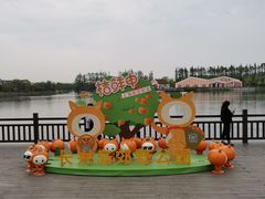 -上海长兴岛郊野公园