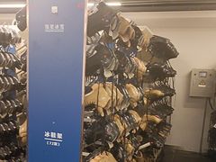 -世界之窗阿尔卑斯冰雪世界