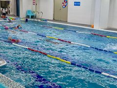 -奥体中心游泳馆