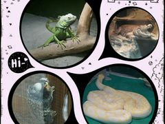 -上海大自然野生昆虫馆