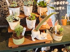 -思南书局(复兴中路店)
