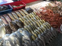 -天天渔港海鲜酒家(石浦玉泉路店)