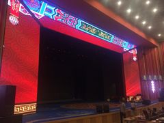 刘老根大舞台(东岭南街店)-刘老根大舞台-长春旗舰店
