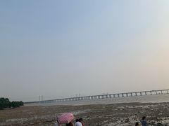 -宝安西湾红树林湿地公园