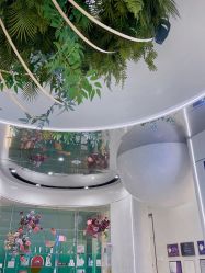 -轻辰医美