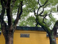 -西园戒幢律寺