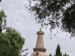 -张掖市博物馆