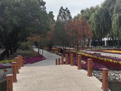 -黑龙江中医药大学